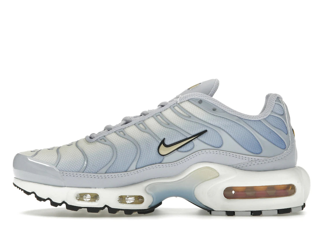 Nike Air Max Plus Daybreak (Women's)