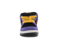 Nike SB Dunk Low ACG Terra