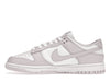 Nike Dunk Low Venice (Women's)