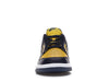 Nike Dunk Low Michigan (2021)