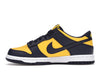 Nike Dunk Low Michigan (2021/2024) (GS)